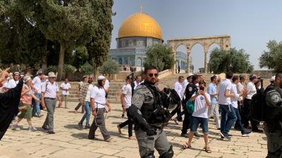   هناك دعوات جماعات يمينية إسرائيلية لاقتحامات واسعة للمسجد الأقصى - وكالة وفا