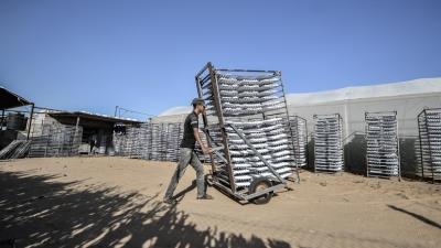 فاقت نسبة البطالة في قطاع غزة 75%- الأناضول
