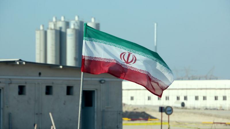 مفاعل بوشهر الإيراني 