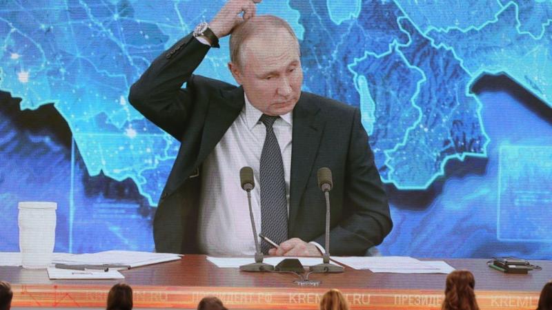 مليادير روسي يكشف عن ملكيته لـ"قصر بوتين"