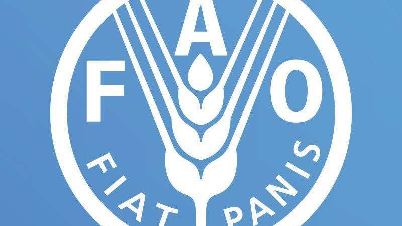 شعار منظمة الأغذية والزراعة التابعة للأمم المتحدة 