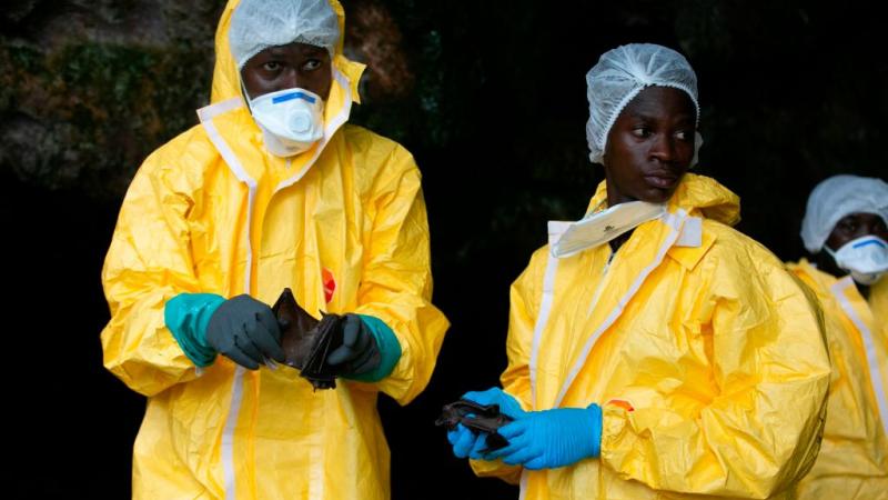 طالبت "الصحة" ست دول إفريقية بأن تكون في حالة تأهب لاحتمال وجود إصابات بفيروس إيبولا