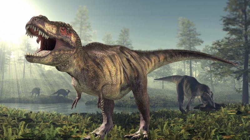 لديناصور "تي. ركس" الآكل للحوم جمجمة يبلغ طولها 1.5 أمتار تقريبًا (نموذج رقمي - غيتي)