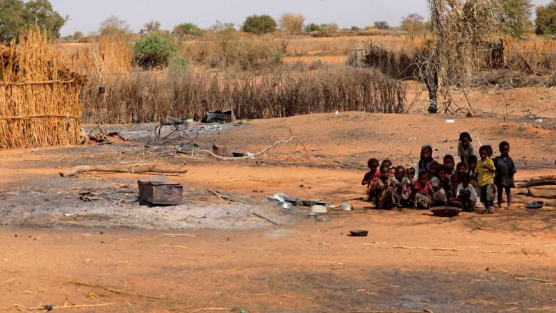 تشهد مناطق عدة في دارفور اقتتالًا دمويًا متكررًا بين القبائل العربية والإفريقية.