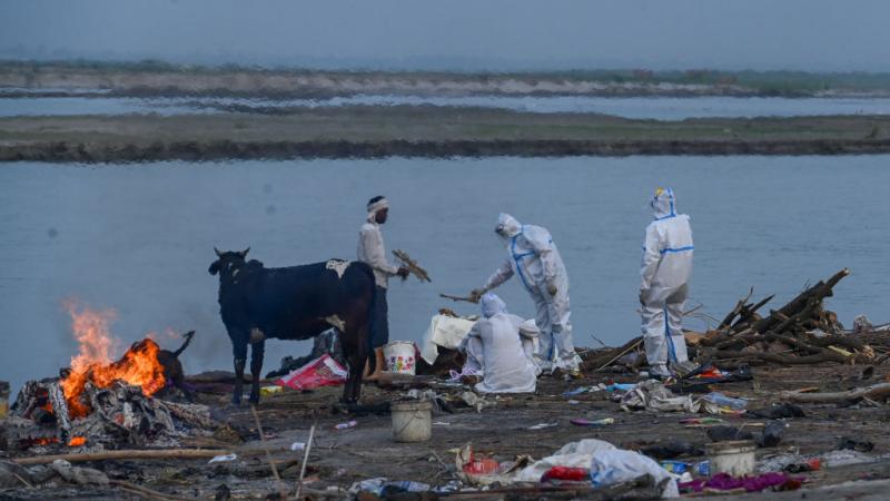 العثور على جثث ضحايا كوفيد-19 ملقاة في بعض الأنهار الهندية 