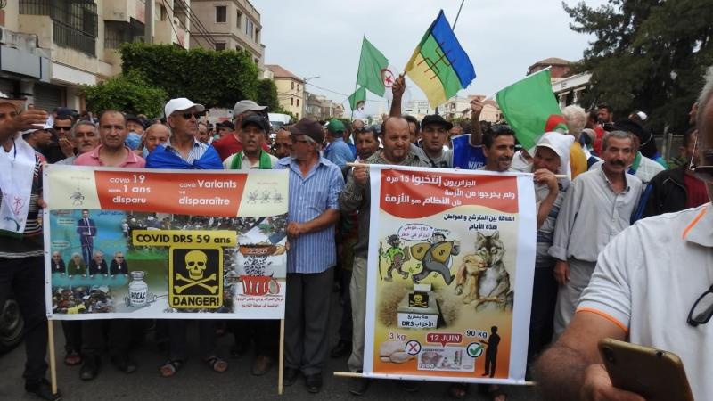 رفع المتظاهرون في الجزائر شعار "لا انتخابات مع العصابات"