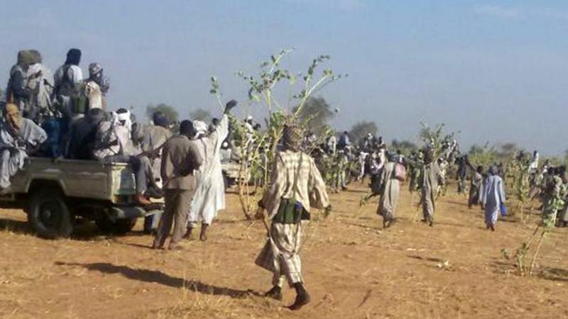 اشتباكات بين قبيلة التعايشة وقبيلة الفلاتة جنوب دارفور(راديو دبنقا)