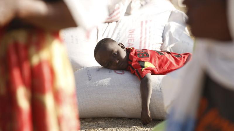 يعاني أكثر من 350 ألف شخص من المجاعة في تيغراي.