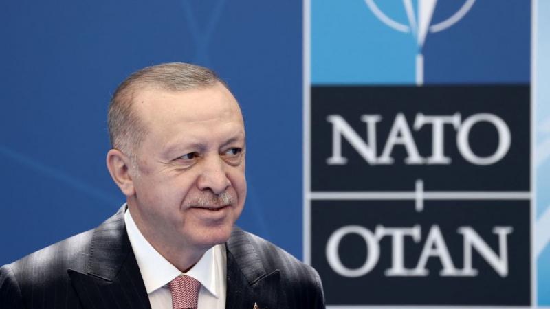 أكد أردوغان أن تركيا تعد من أكثر الدول المساهمة في تنمية الناتو