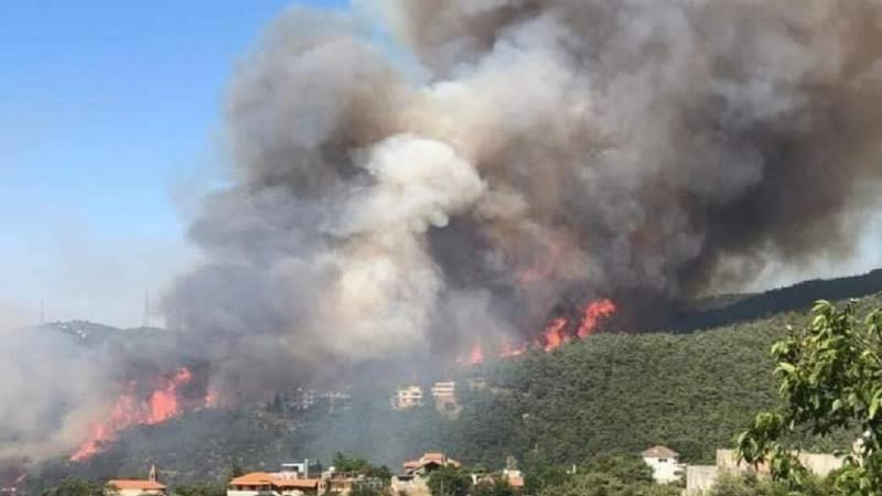 حريق ضخم طال غابات وأحراجًا في منطقة عكار شمالي لبنان (تويتر)