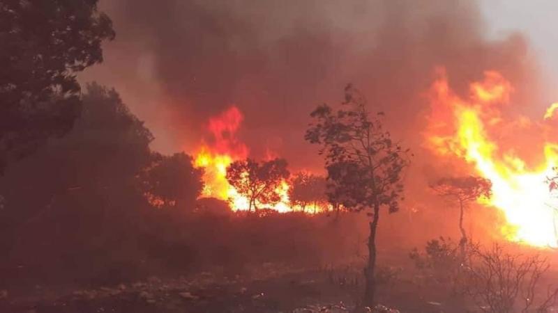 أتت النيران على حوالي 44 ألف هكتار من الغابات في عام 2020 (تويتر- حساب أرمينيان بي تي أس)