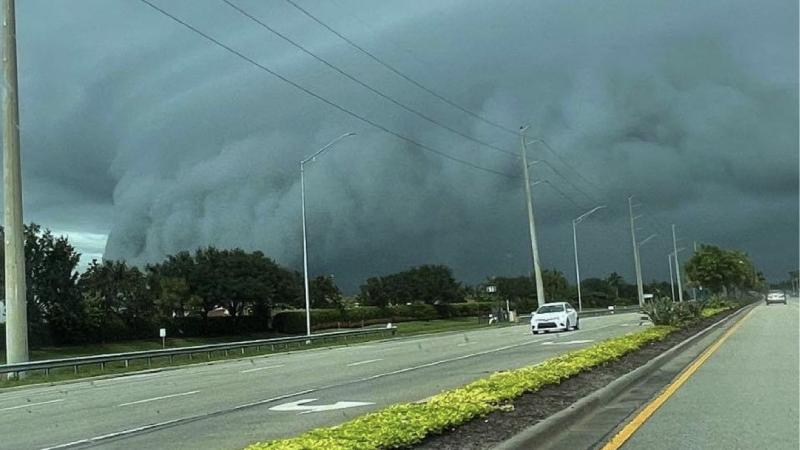 الإعصار "إلسا" يصل إلى فلوريدا 