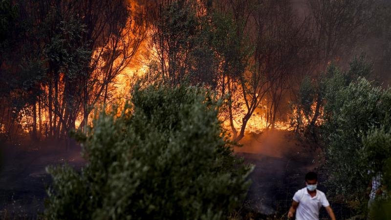 اندلع الأربعاء أول حريق في غابة في منافغات بمحافظة أنطاليا (غيتي)