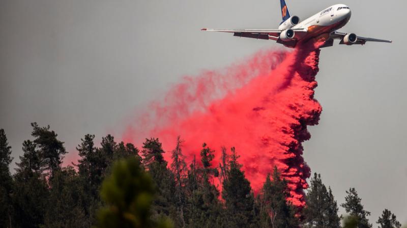 يكافح مئات من عناصر الإطفاء حرائق غابات أتت على 15 ألف هكتار في شمال كاليفورنيا (غيتي)