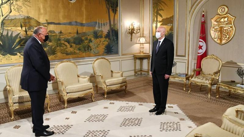 استقبل الرئيس التونسي قيس سعيّد وزير الخارجية المصري سامح شكري (فيسبوك)