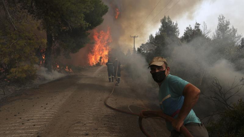 اندلع في اليونان نحو 600 حريق قضى على أكثر من 100 ألف هكتار  