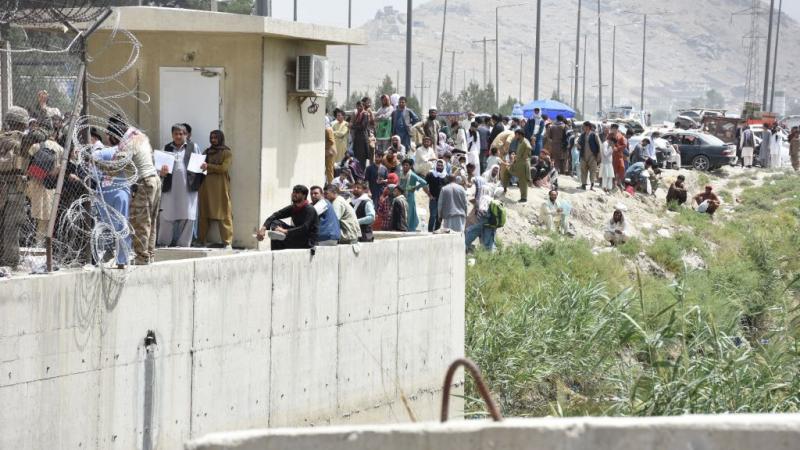 بلغت محصلة الضحايا جراء الفوضى في مطار كابل ومحيطه 20 قتيلًا خلال أسبوع 