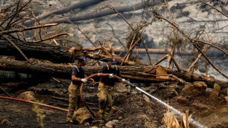 اندلع أكثر من 150 حريقًا الأسبوع الماضي على امتداد جنوب غرب تركيا (غيتي)