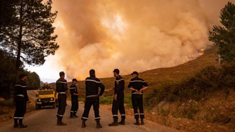 الجهود متواصلة لإخماد 19 حريقا على مستوى 11 ولاية في الجزائر
