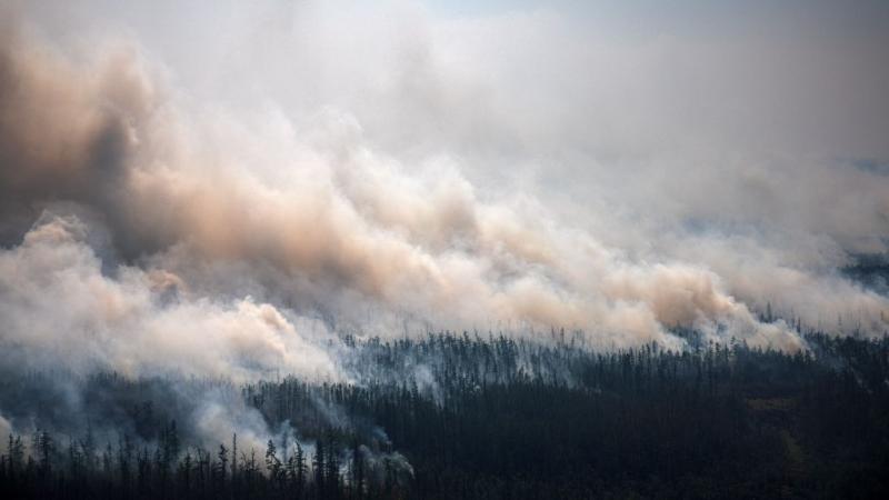 يواصل الوضع في شمال سيبيريا التفاقم مع اتجاه لارتفاع عدد ومساحة حرائق الغابات (غيتي)