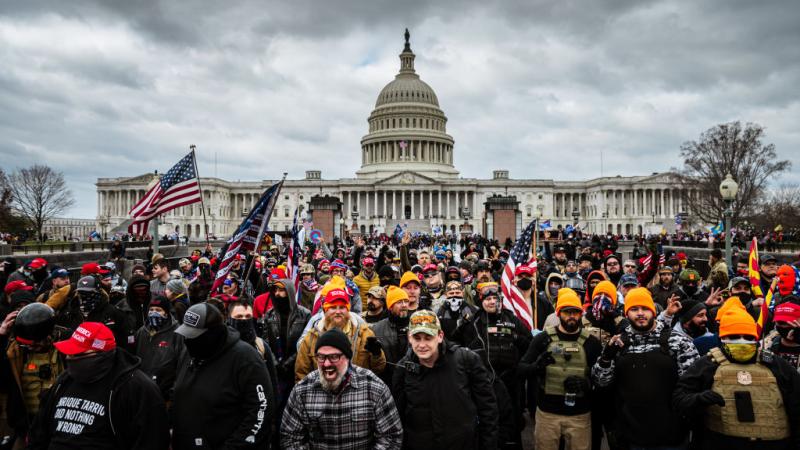 المئات من الأميركيين المناصرين للرئيس السابق دونالد ترامب نظموا تظاهرة دعم للمعتقلين الذين اقتحموا مبنى الكابيتول في واشنطن في يناير الماضي عام 2020