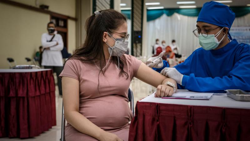 يعود القرار الإيطالي إلى أدلة متزايدة على أمان اللقاحات خلال الحمل على الأم والجنين