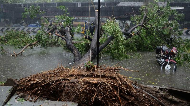 أفادت التقارير الأولى عقب مرور الإعصار عن اقتلاع أشجار في ولاية أندرا براديش