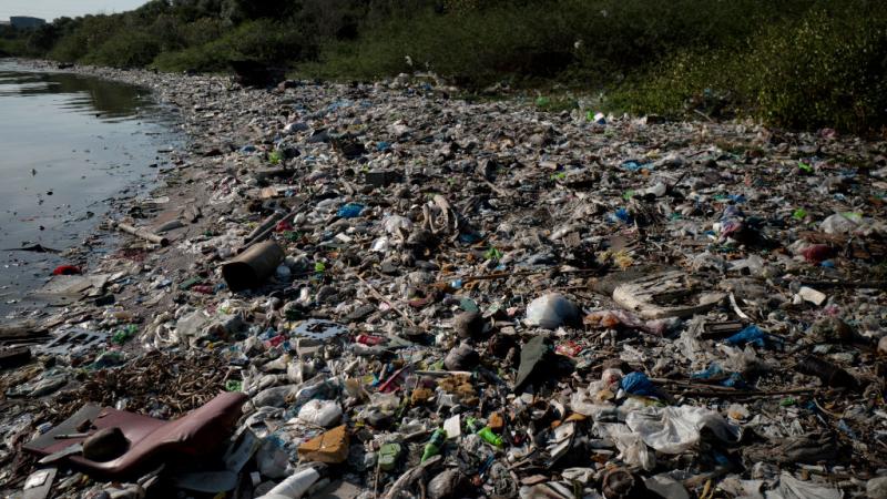 ثمانون في المئة من البلاستيك الذي ينتهي به المطاف في البحر يأتي من مصادر برية