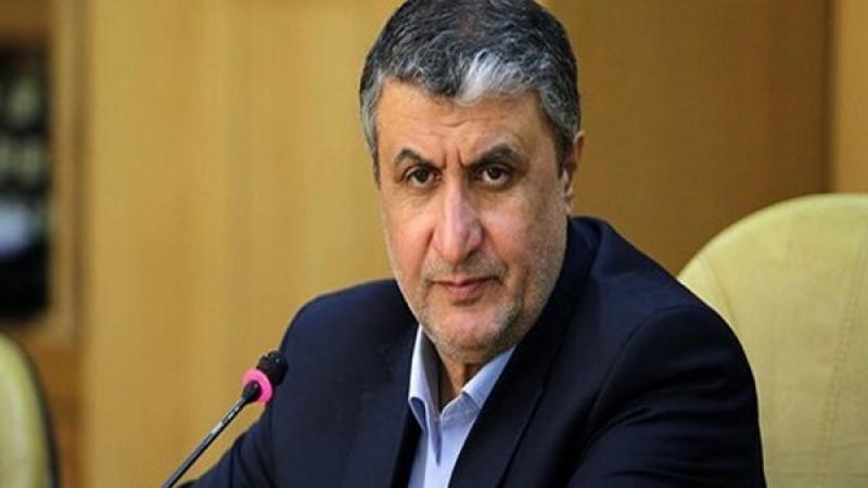رئيس منظمة الطاقة الذرية الإيرانية محمد إسلامي (وكالة فارس)