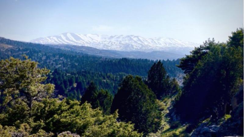 يقع وادي جهنّم في محافظة عكار شمالي لبنان ويمتد على طول نحو 27 كلم (تويتر)