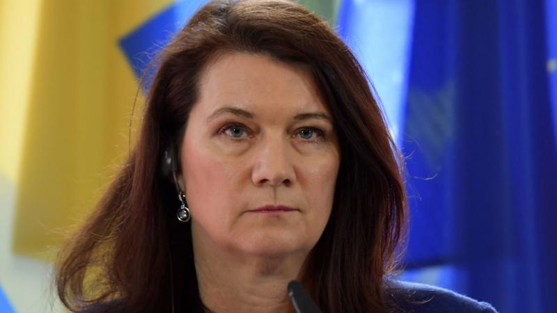 أعلنت الحكومة السويدية أن وزيرة الخارجية آن ليندي ستزور إسرائيل وفلسطين في 18 و19 أكتوبر (غيتي) 