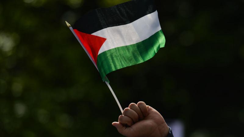 رفضت وزارة الخارجية الفلسطينية في بيان صحافي ما وصفته بـ"الاعتداء المسعور على المجتمع المدني الفلسطيني