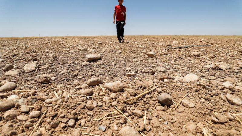 أدى تغير المناخ في العراق إلى تفاقم النقص في كل شيء