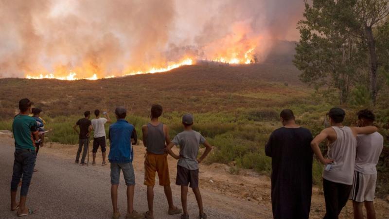شهدت عدة محافظات شمالي الجزائر حرائق غابات في سبتمبر الماضي