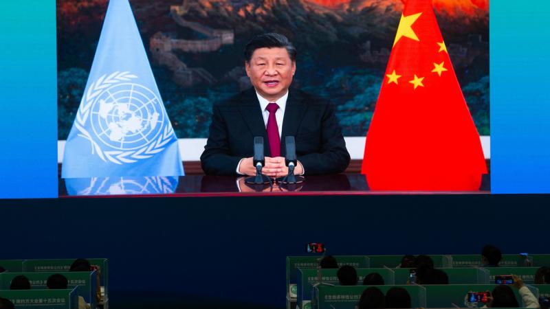 الرئيس الصيني يؤكد تمسك بلاده بالسلام العالمي (غيتي)