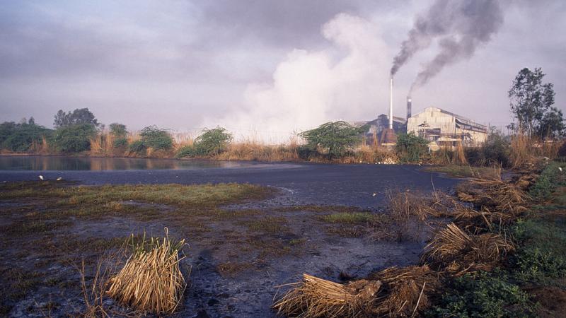 يحرق المزارعون الهنود مساحات شاسعة من سيقان الأرز والقش خلال الشتاء مما يتسبب في تلوث شديد (غيتي)