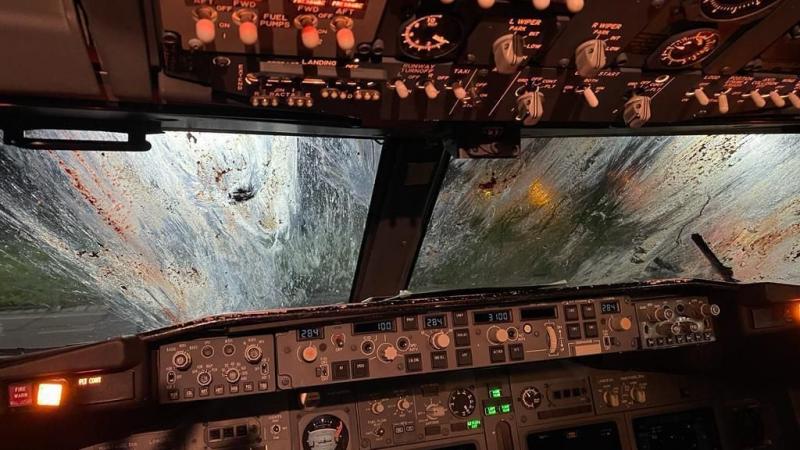 أظهرت الصور آثار اصطدام الطيور أثناء هبوط طائرة "رايان إير" في مطار ماركوني في بولونيا (تويتر)