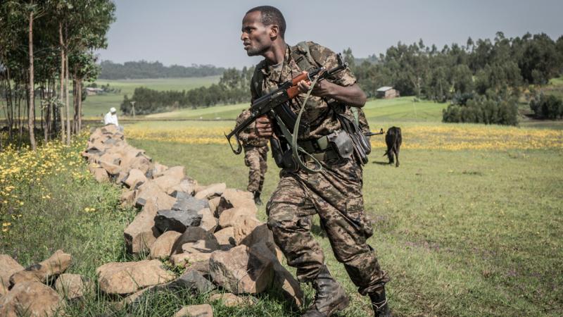 واشنطن حذرت المتمردين من التقدم نحو أديس أبابا (غيتي)