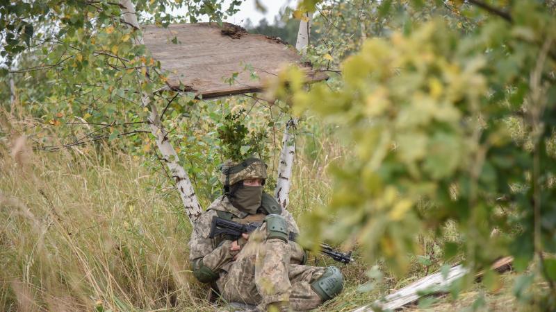 صورة لجندي في الجيش الأوكراني متنكرًا بالعشب خلال تدريبات عسكرية دولية (أرشيف - غيتي)