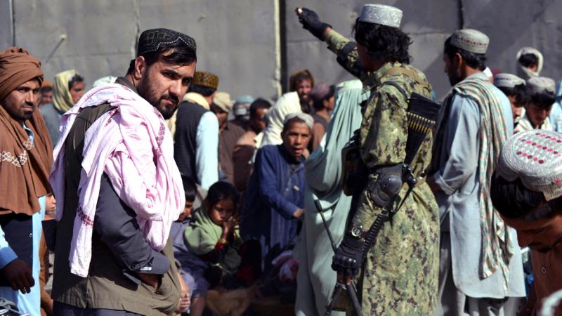 محادثات بين طالبان الباكستانية وإسلام أباد