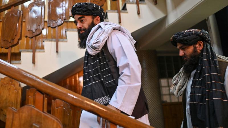 المتحدث الرسمي باسم حكومة طالبان ذبيح الله مجاهد (غيتي)