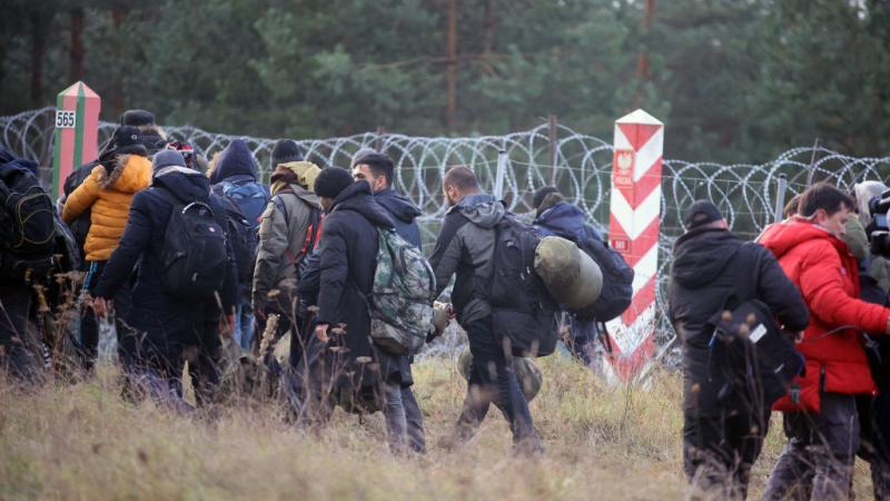مجموعة من المهاجرين على طول الحدود البيلاروسية البولندية