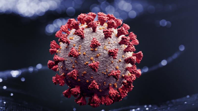 أودى فيروس كورونا بأكثر من 5,16 ملايين شخص في أنحاء العالم منذ نهاية العام 2019