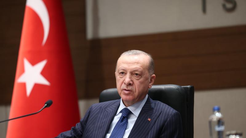 رحب الرئيس التركي بالجهود الدبلوماسية الرامية إلى إعادة فتح أبواب الحوار في منطقة الخليج (الأناضول)