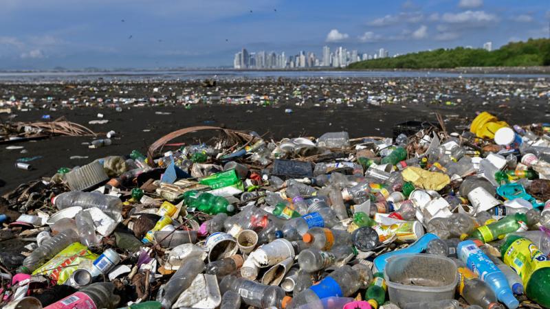 وجد العلماء في تقرير الجديد أن نظام إعادة التدوير اليوم غير كافٍ تمامًا لإدارة تنوع وتعقيد وكمية النفايات البلاستيكية في الولايات المتحدة (غيتي)