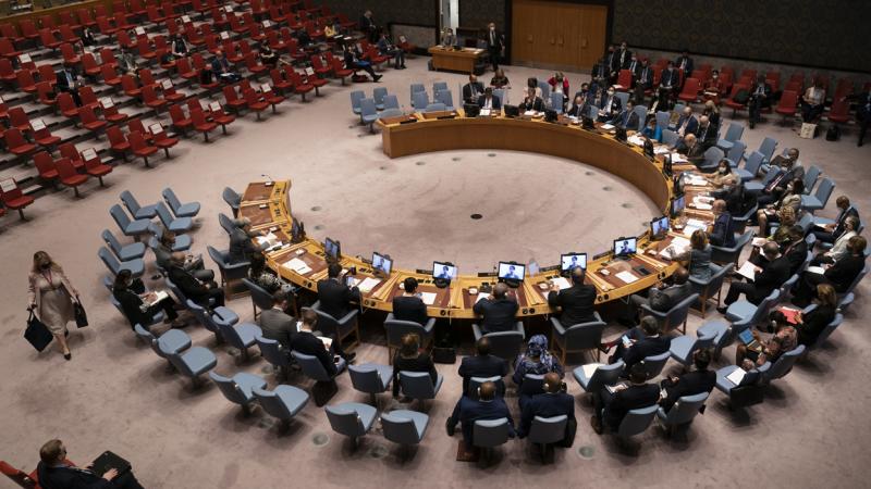 انتقادات لاستمرار وجود حق النقض داخل مجلس الأمن الدولي 