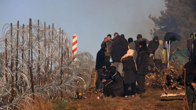 فريق الأمم المتحدة قابل 31 شخصًا وصلوا إلى بولندا عبر بيلاروسيا بين أغسطس ونوفمبر من دون تمكنه من الوصول إلى الحدود