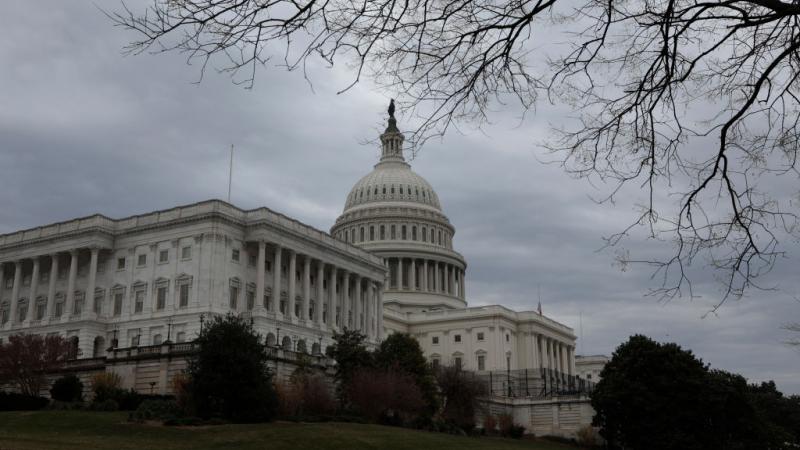 مبنى الكابيتول الذي يضم الكونغرس الأميركي في العاصمة واشنطن