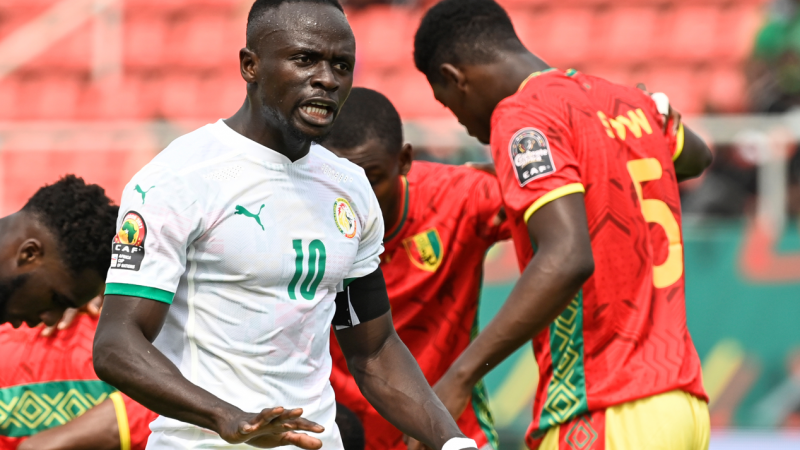 من مباراة السنغال مع غينيا في كأس الأمم الإفريقية (تويتر)