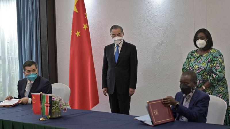 رأى وزير الخارجية الصيني وانغ يي أن على بلدان القرن الإفريقي حمل مصير المنطقة على عاتقها